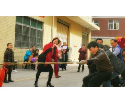精英团队